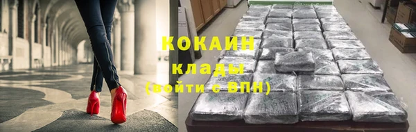дмт Пестово