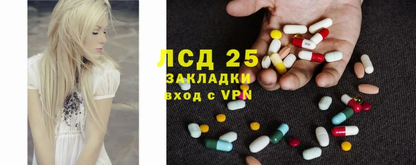 spice Пересвет