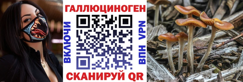 где найти наркотики  Янаул  Галлюциногенные грибы GOLDEN TEACHER 